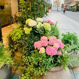 Meet your Posher, Dalita